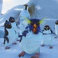 Bilder George Miller