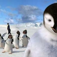 Bilder George Miller