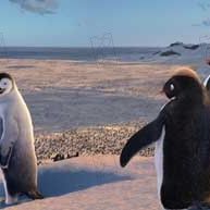 Bilder George Miller