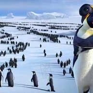 Bilder George Miller