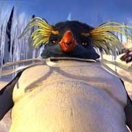 Bilder George Miller