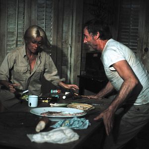 Bilder Die schönen Wilden