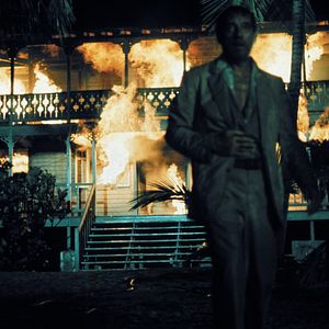 Bilder Die schönen Wilden