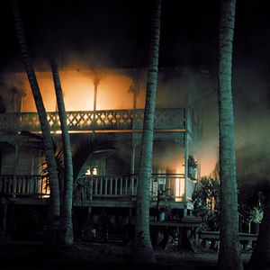 Bilder Die schönen Wilden