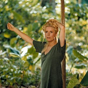 Bilder Die schönen Wilden