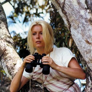 Bilder Die schönen Wilden