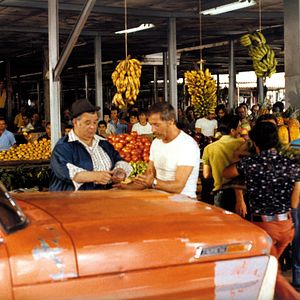 Bilder Die schönen Wilden