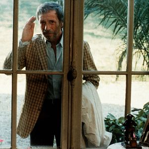 Bilder Die schönen Wilden