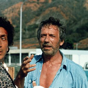 Bilder Die schönen Wilden