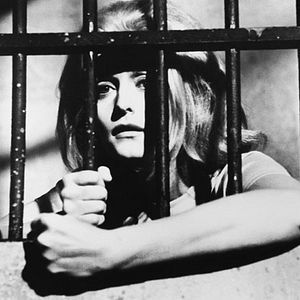 Bilder Samuel Fuller