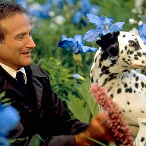 Bilder Hinter dem Horizont