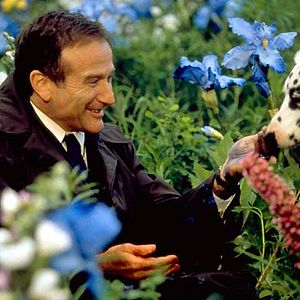 Bilder Hinter dem Horizont