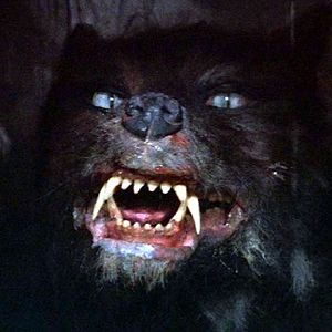 Bilder Die unendliche Geschichte