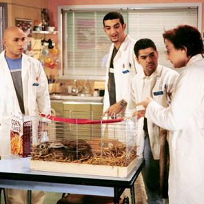 Bilder Catherine Benguigui