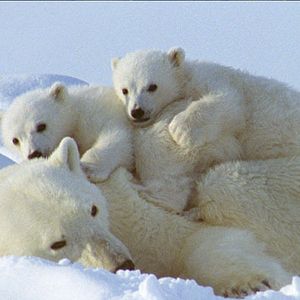 Bilder Thierry Ragobert