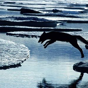 Bilder Thierry Ragobert