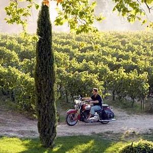 Bilder Russell Crowe