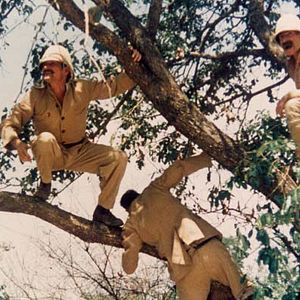 Bilder Sehnsucht nach Afrika