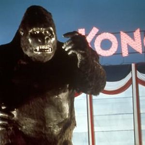 Bilder King Kong