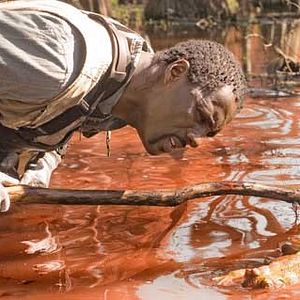 Bilder The Reaping - Die Boten der Apokalypse