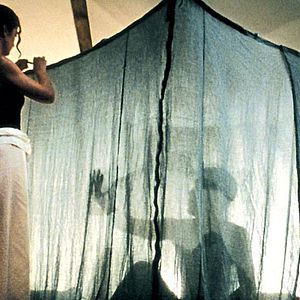 Bilder 20 Nächte und ein Regentag