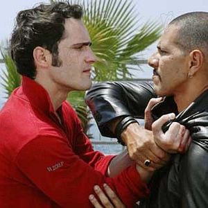 Bilder Radivoje Bukvic