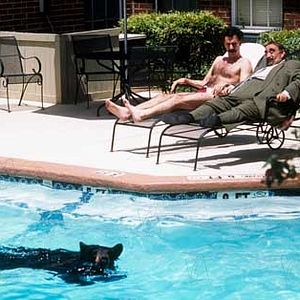 Bilder Larry Charles