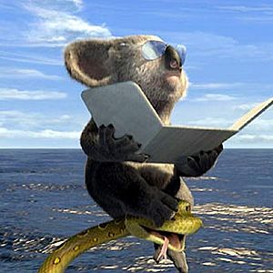 Bilder Steve Williams