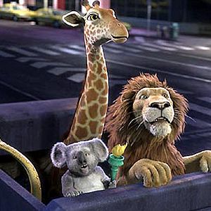 Bilder Steve Williams