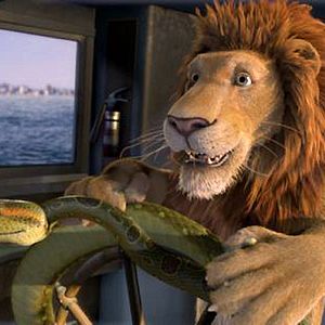 Bilder Steve Williams