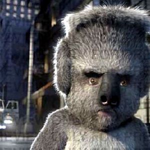 Bilder Steve Williams