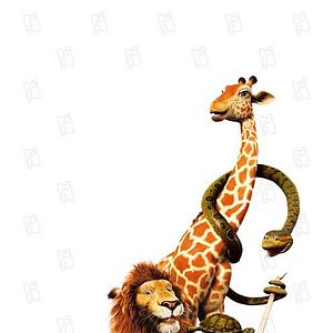 Bilder Steve Williams