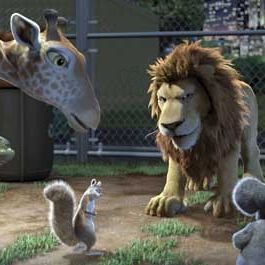 Bilder Steve Williams