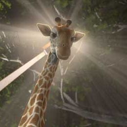 Bilder Steve Williams