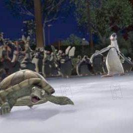 Bilder Steve Williams