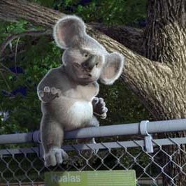 Bilder Steve Williams