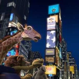 Bilder Steve Williams