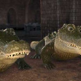 Bilder Steve Williams