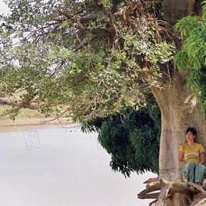 Bilder Romane Bohringer