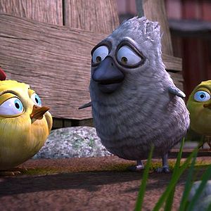 Bilder Michael Hegner