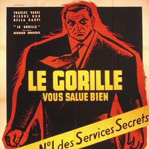 Bilder Der Gorilla läßt schön grüßen