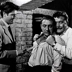 Bilder Der Gorilla läßt schön grüßen