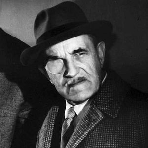 Bilder Der Gorilla läßt schön grüßen