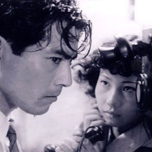 Bilder Ein herrenloser Hund