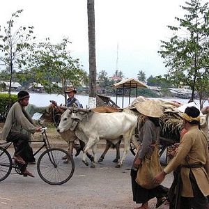 Bilder Bernard Giraudeau