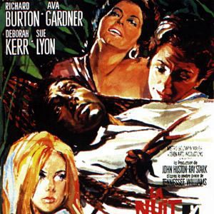 Bilder Die Nacht des Leguan