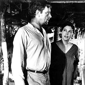 Bilder Die Nacht des Leguan