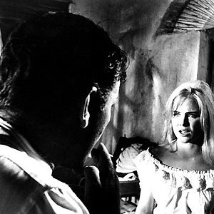 Bilder Die Nacht des Leguan