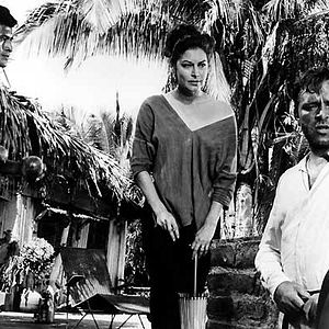 Bilder Die Nacht des Leguan