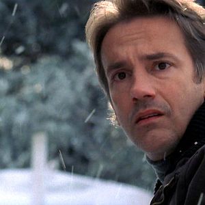 Bilder Ein perfekter Freund